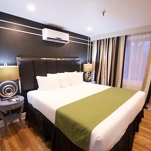 Deluxe King Suite
